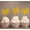 Yellow, variant on Darling Souvenir, Mr & Mrs Wedding Cupcake Toppers, Party Dessert Decorations - Pack Of 20