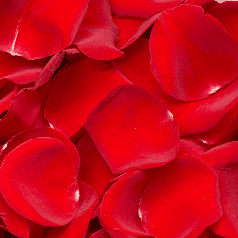 Red Rose Petals