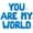 Blue, variant on Letter Balloons - YOU ARE MY WORLD 16" Inch Alphabet Letters Foil Mylar Balloon Engagement Party Banner (Gold)