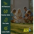thumbnail image 5 of See Spot Run Eliminate Yellow Spots On Your Lawn Caused By Dog Urine | All-Natural, Safe for Pets and Humans | Made in the USA | Ready-to-Mix Gallon (128 oz), 5 of 8