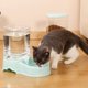thumbnail image 3 of Alimentador automático para mascotas de 3,8 L, dispensador de comida para perros y gatos grandes, fuente de agua, tazón de bebida,blue-Feeder, 3 of 7