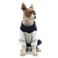 thumbnail image 5 of Suéter para mascotas YONGSHENG moda diamante otoño invierno, 5 of 5