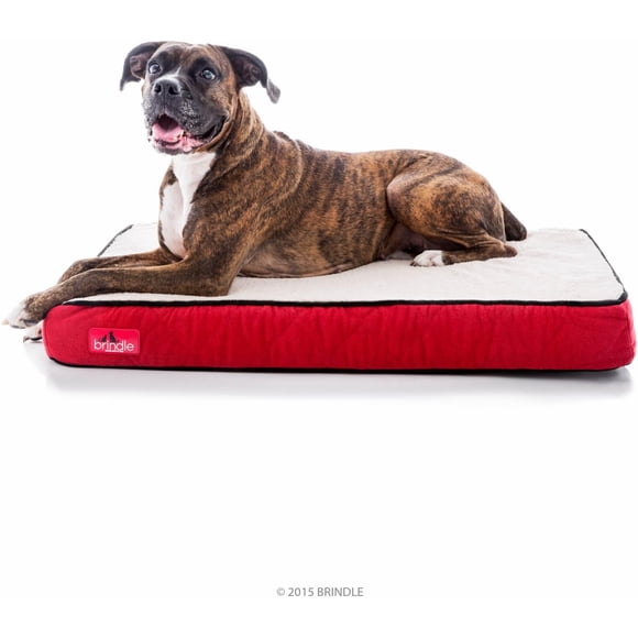 Brindle Cama para perro o gato grande| Espuma ortopédica viscoelástica 10 cm | Impermeable, funda extraíble y lavable a máquina | Cama Grande