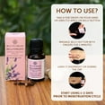Bella Vita Organic Belly Drops Ayurvedic Navel Oil For Menstrual