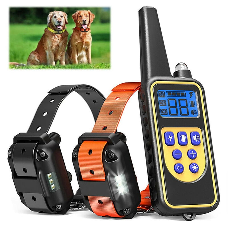 dog shock collar walmart