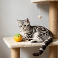 thumbnail image 4 of Interactive Cat Toy Ball, Automatic Smart Rolling Cat Ball, USB Rechargeable Motion Activated Cat Toy for Indoor Cats, boredom relief Yellow, 4 of 6