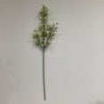 thumbnail image 1 of White Baby'S Breath, 1 of 3