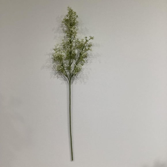 White Baby'S Breath