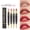 #01, variant on 2-in-1 Red Metallic Lip Liner & Lipstick for Women, Lip Liner Lip Stains Long Lasting Waterproof 24 Hour Lipstick and Lip Liners Combo Lipliners Pencil, #01