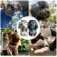 thumbnail image 5 of Camiseta de verano de 2 piezas para perros, camiseta estilo hawaiano para perros, camiseta estilo vacaciones en la playa para perros, ropa transpirable azul y blanca para perros (talla S), 5 of 5