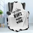 thumbnail image 4 of Humorous Soft Flannel Fleece Blanket, Funny Drinking Words of Glass of Wine Monochrome Design in Grunge Frame, Cozy Plush for Indoor and Outdoor Use, 70" x 90", Charcoal Grey White, by Ambesonne, 4 of 5