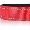 thumbnail image 4 of Collar de nailon para perro con tira reflectante, collar clásico acolchado para perros medianos, rojo, talla M, 4 of 5