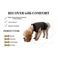 thumbnail image 3 of Traje de recuperación para perros iLVYA, talla mediana, gris, sin cono, para cicatrización, 3 of 9