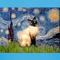 thumbnail image 3 of CafePress - Starry Night Siamese Women's Dark T Shirt - Women's Traditional Fit Dark T-Shirt, 3 of 4