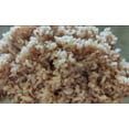 thumbnail image 3 of Shastha Foods Rajamudi Rice, Gluten Free, 5 lbs, pack of 1, 3 of 6
