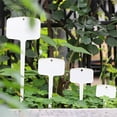 thumbnail image 1 of Etiquetas de plástico tipo T - Pack de 12 etiquetas blancas para jardín, estacas de identificación de plantas de 15x2,83x3,94 pulgadas para verduras, hierbas y flores, 1 of 7