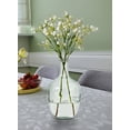 thumbnail image 2 of Serene Spaces Living 10" Clear Glass Bottle Vase -  for Coffee Table, Fireplace Mantel, Indoor Decorations, Long-Stemmed Plant Vase, Home Decor, Single, 2 of 6