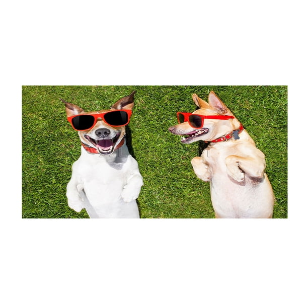 Piscinas de Perros para Perros Grandes Toalla de Playa Temática de Perro, Regalo de Bola de Toalla de Playa -30x60 Pulgadas Toalla de Playa Grande, Secado Rápido Absorbente de Peso Ligero Toalla de Pl