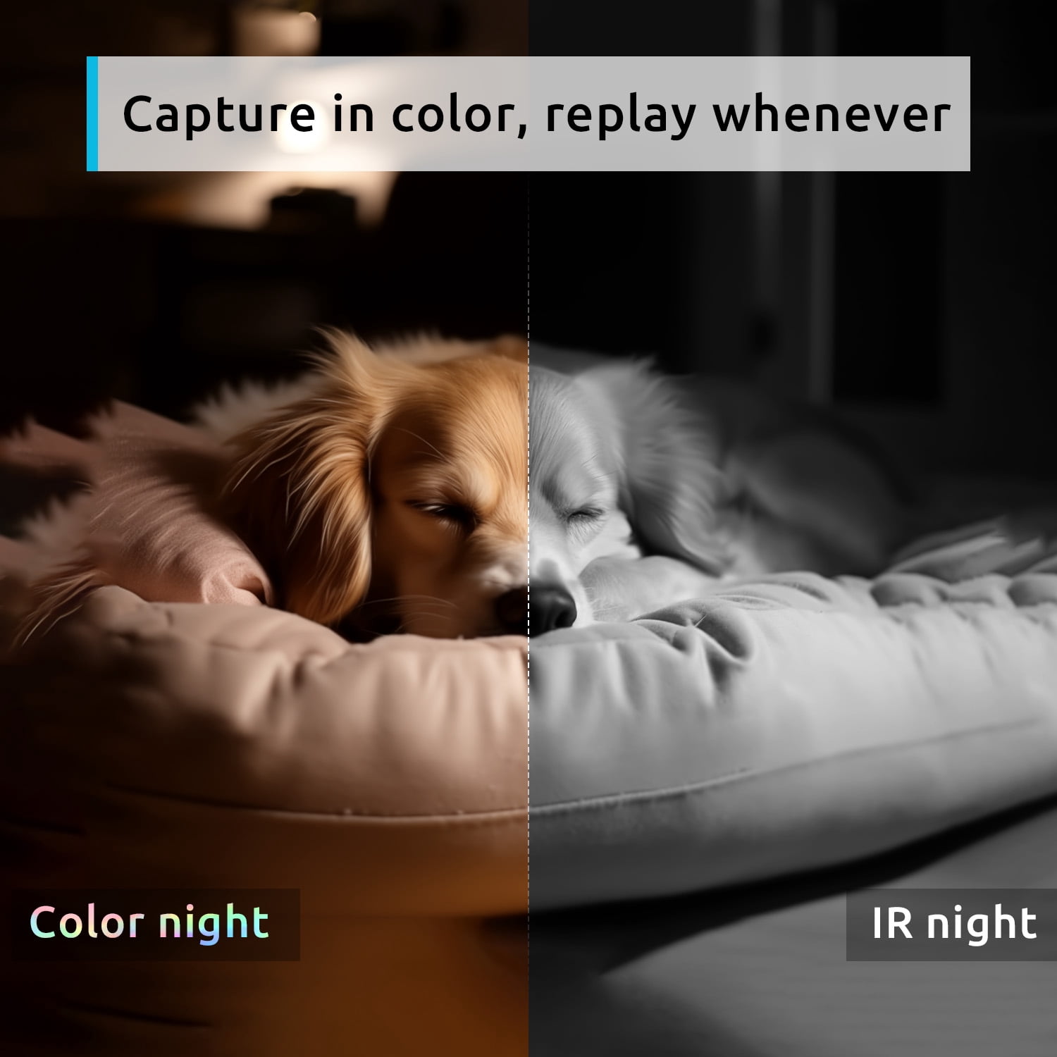 Security Camera 2K, blurams Baby Monitor Dog Camera 360-degree for Home Security w/ Smart Motion Tracking, Phone App, IR Night Vision, Siren, Works with Google Assistant & IFTTT, 2-Way Audio