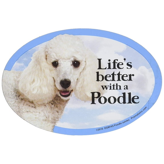 Prismatix Poodle (White) Oval Dog Magnet – 6 x 4 in, Full Color