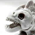 thumbnail image 3 of Skeleton Fish Halloween Decor Model, Animal Carp Skull Fishes Bone Art Ornaments, for Home Room B, 3 of 6