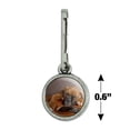 thumbnail image 4 of Boxer Puppy Dog Sleeping on Guitar Antiqued Charm Clothes Purse Suitcase Backpack Zipper Pull Aid, 4 of 5