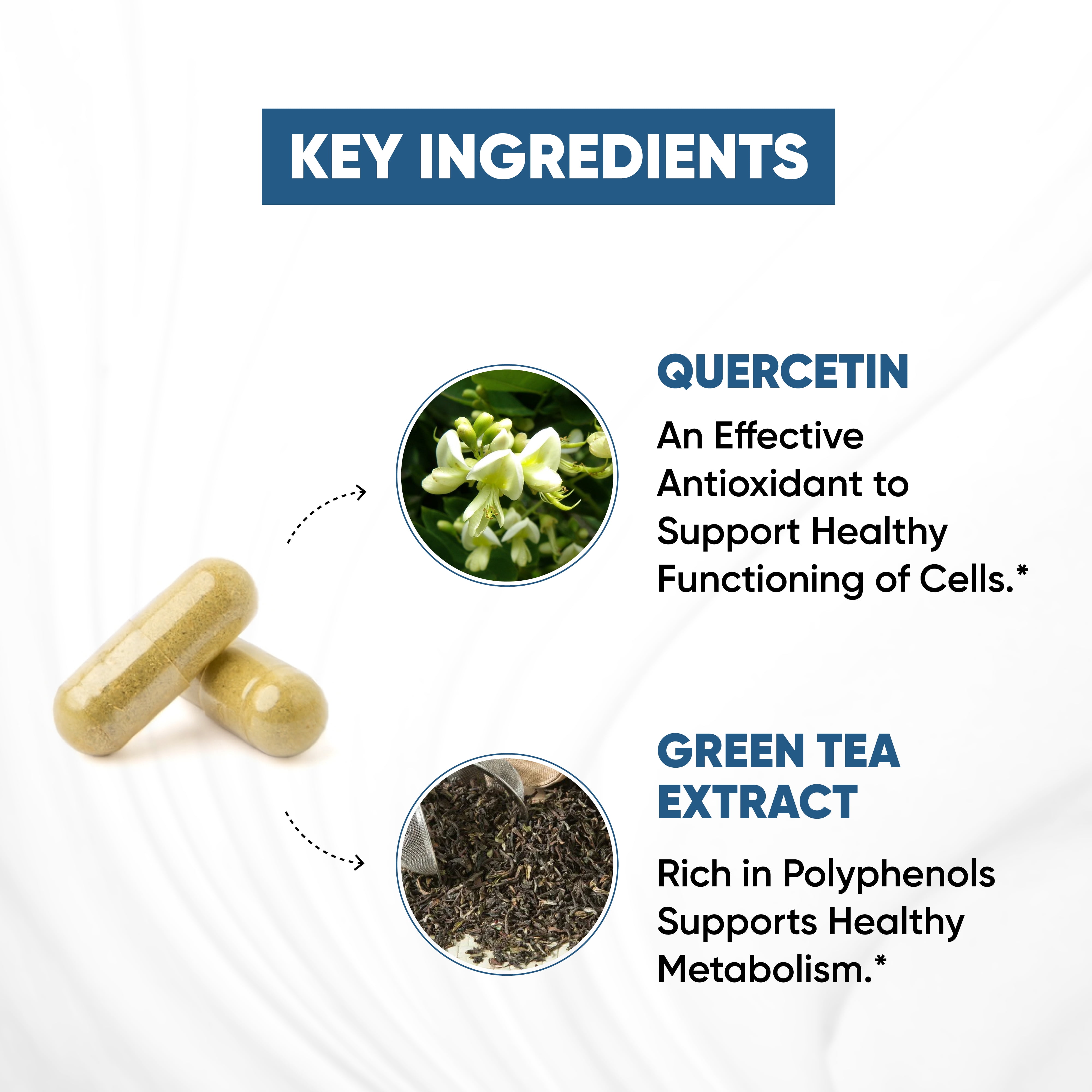 Sandhu's BioZnQ, 900mg of Quercetin & Green Tea Extract with 22mg of Zinc, Immune Support, 120 Ct