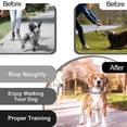 thumbnail image 5 of Dog claw collar, dog pinch collar, large medium and small dog training collar, 5 of 5