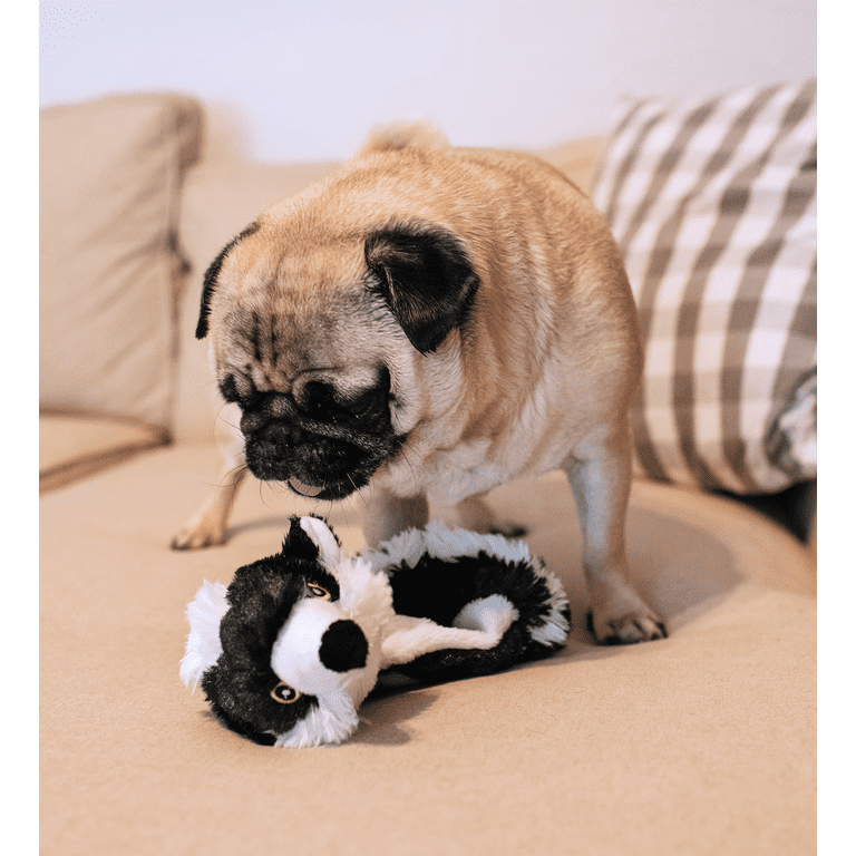 Vibrant Life Skunk Dog Toy with Squeaky Ball, 20 inches - Walmart.com