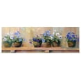 thumbnail image 1 of Great BIG Canvas | Rolled Carol Rowan Poster Print entitled Violets in Pots, 1 of 4