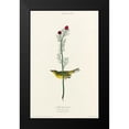 thumbnail image 2 of Audubon, John James 13x18 Black Modern Framed Museum Art Print Titled - Selbys Flycatcher, 2 of 5