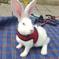 thumbnail image 4 of Adjustable Ferrets Small Animal Prevent Escape Guinea Pig Rabbit Harness Bunny Leash Rabbit Leash Rabbit Vest RED S, 4 of 8