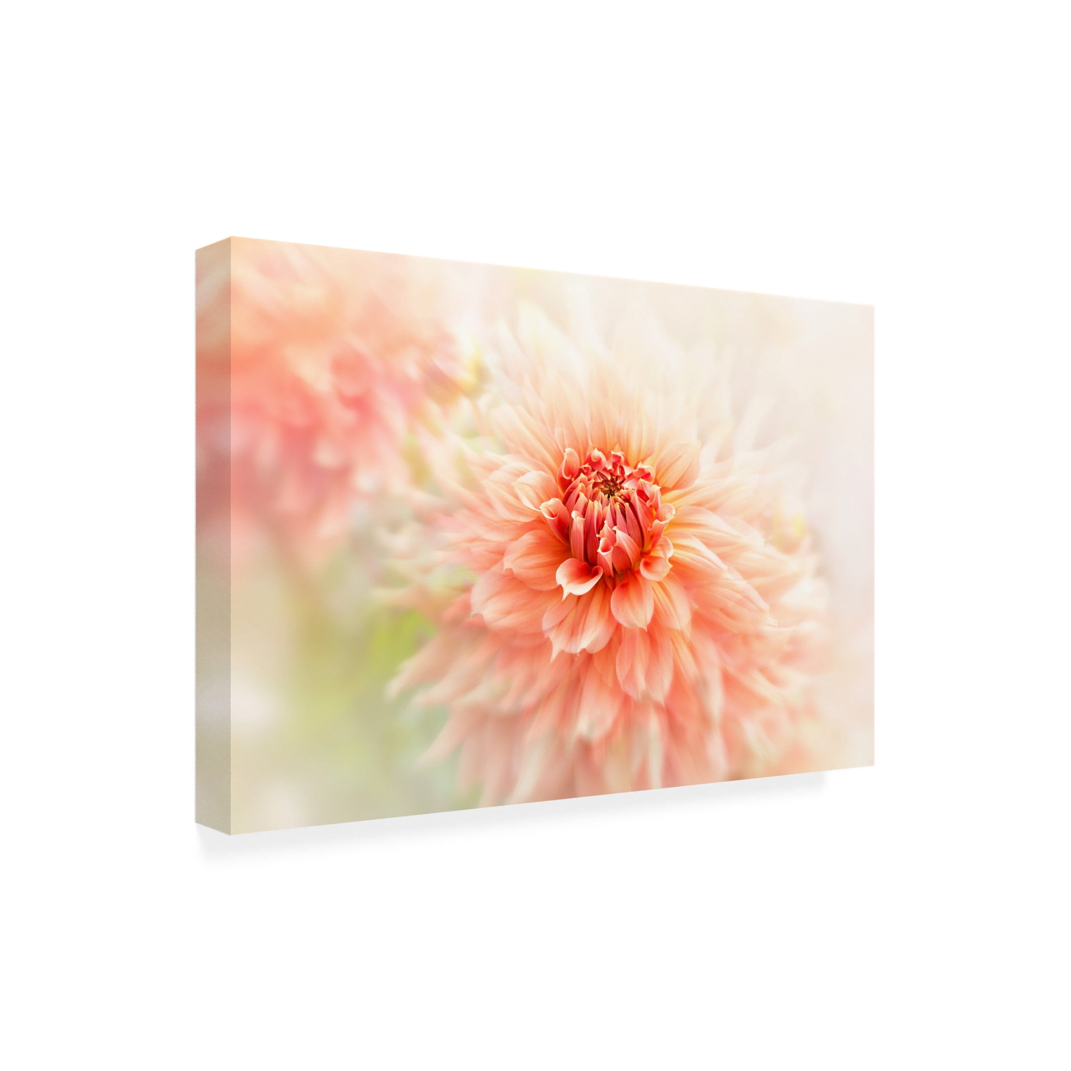 Canvas Wall Art - Jacky Parker 'Glow' Wall Art for Living Room, Bedroom, or Office D?cor by Trademark Fine Art - 32 x 22 Inches