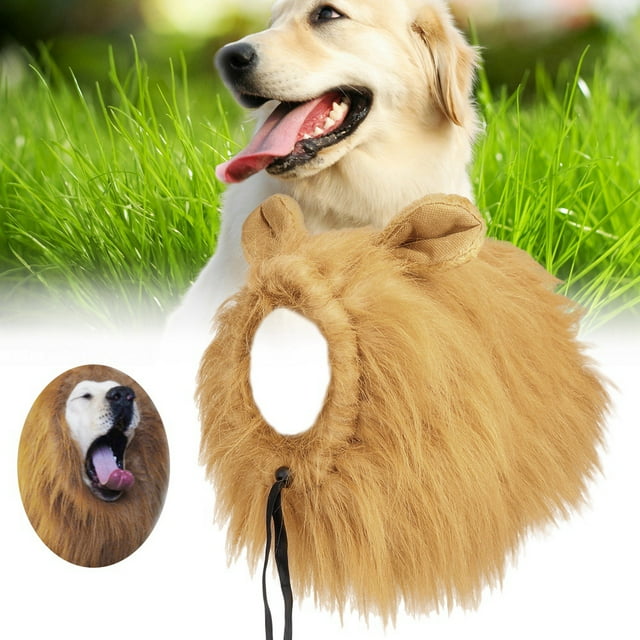 Chien, Chiot à la Mode 1 Pce, Chiot Cosplay de Fête pour Chien Chiot