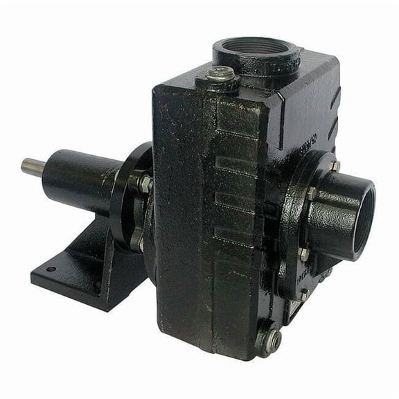 Dayton Pedestal Pump,Cast Iron,3 HP 5PXX8