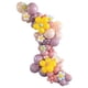 thumbnail image 2 of Kit de arco de guirnalda de globos, globos de fiesta, globos de látex DIY, globos pastel 198 Uds., 2 of 9