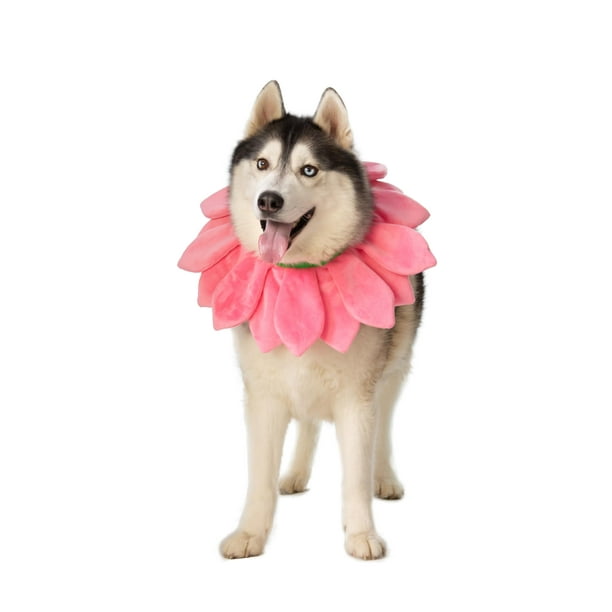 Collar de flores rosas ComfyCamper para disfraz de perro, XS-XXL