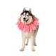 thumbnail image 1 of Collar de flores rosas ComfyCamper para disfraz de perro, XS-XXL, 1 of 3