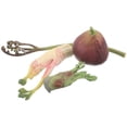 thumbnail image 1 of Miangastore Plants for Kids Plants Life Cycle Toys Multi-colored 1 Set Interactive Learning Early Education, 1 of 9