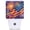 American Flag, variant on Pink Pixel Hibiscus Dusk to Dawn Night Light, Plug-in Warm Lamp for Hallway Bathroom Bedroom Kitchen