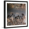 thumbnail image 2 of Marmont Hill "To the Sky" by Karolis Janulis Framed Painting Print, 2 of 5