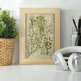 thumbnail image 6 of Garden Verses I -Framed Print w/glass-Natural Wood, 6 of 8