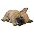 thumbnail image 3 of Chiot Sleeping Pug, 3 of 10