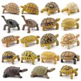 thumbnail image 2 of OUTOP Réaliste Tortue Action Figure Réaliste Amphibien Reptile Modèle Ornements pour les Enfants Cadeaux Décoration de la Maison, 2 of 9