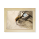 thumbnail image 1 of Animal ojo azul gatito gris - Foto Escritorio de madera Arte Pintura 6x8 pulgadas marco de foto foto, 1 of 4