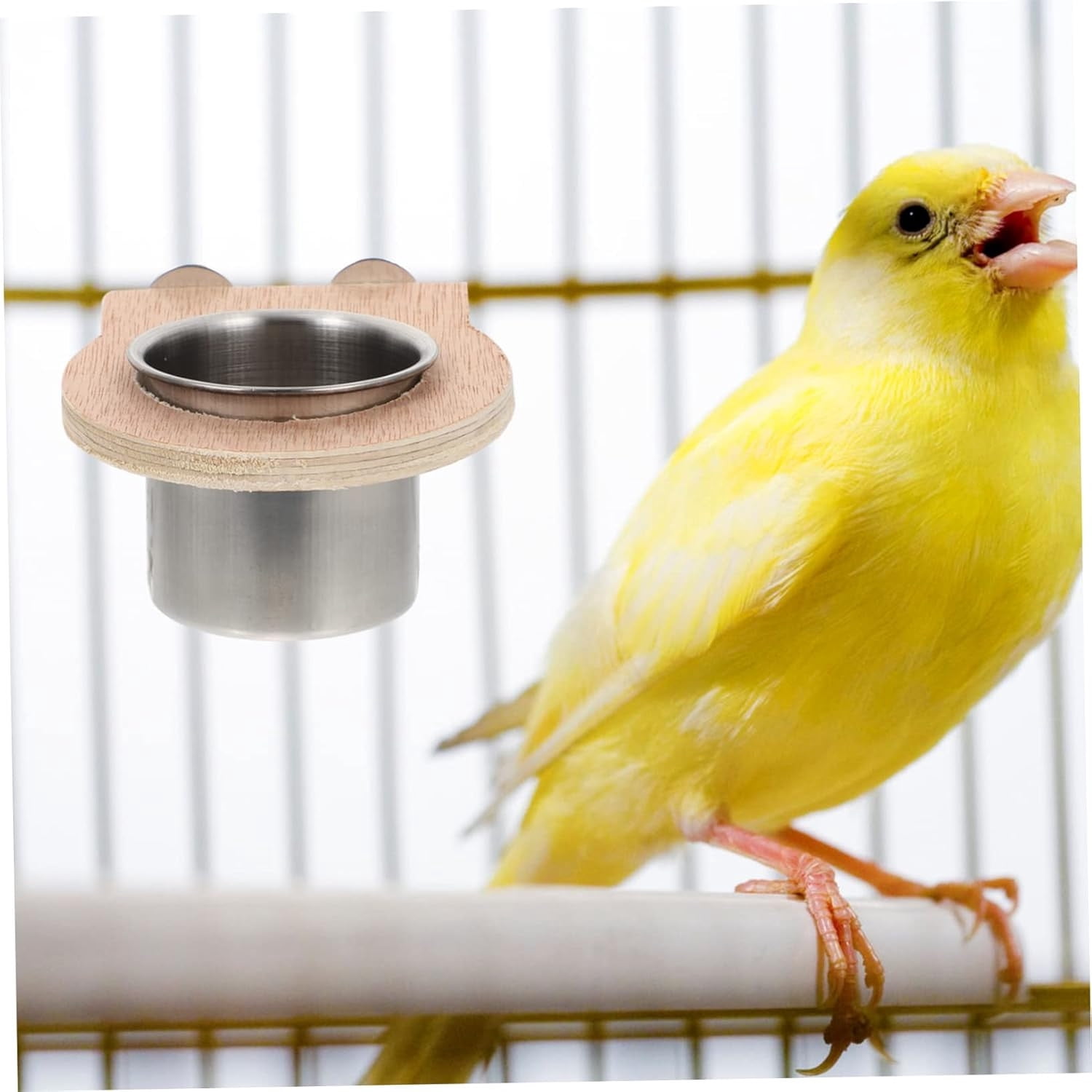 Cadorn Stainless Steel Parrot Feeder Cup - Durable Bird Feeder for Cages, Anti-Rust Pet Food Dish for Parakeets, Cockatiels, and Lovebirds