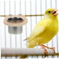 thumbnail image 4 of Comedero de acero inoxidable para pájaros con marco de madera | Comedero fácil de colgar para loros, cacatúas y periquitos | Recipiente reutilizable y seguro para comida | Comedero y bebedero, 4 of 8