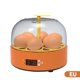 thumbnail image 3 of Incubadora Btafrte Máquina Incubación 15 W Control Temperatura Ajustable 6 Huevos, 3 of 9
