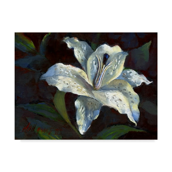 Trademark Fine Art 'White Lily Dark' Canvas Art by Hall Groat Ii