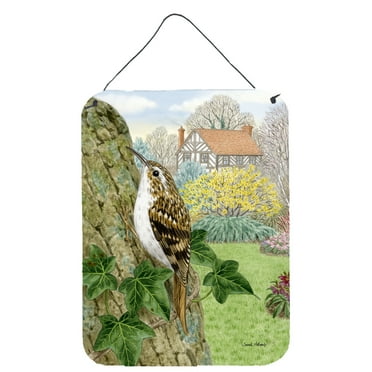 Treecreeper Wall or Door Hanging Prints